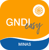 GNDI MINAS